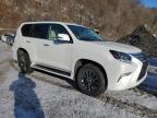 2023 Lexus Gx 460 за продажба в Marlboro, NY - Side