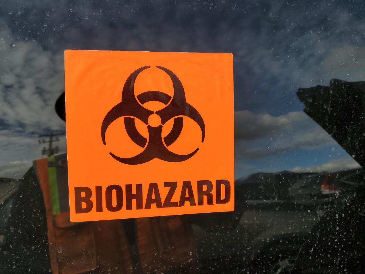 2015 Lexus Nx 300H VIN: JTJBJRBZ4F2020395 Lot: 43951295