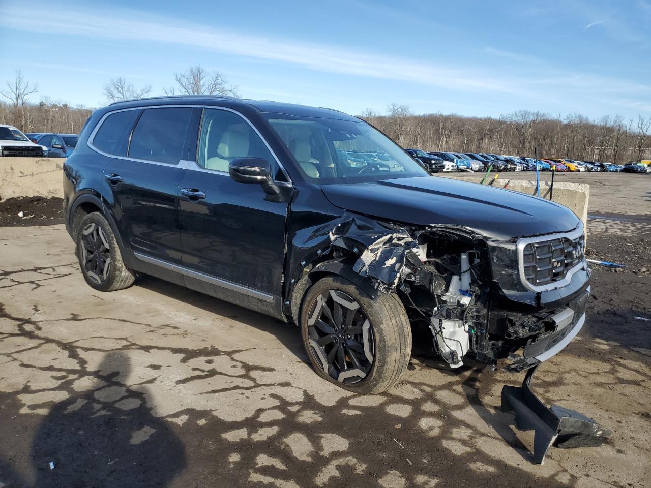 2023 Kia Telluride - Image 4