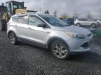 2016 Ford Escape Titanium en Venta en Eugene, OR - All Over