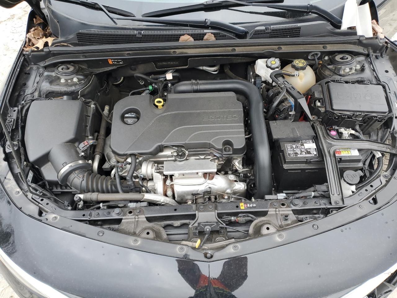 1G1ZB5ST1PF251311 CHEVROLET MALIBU 2023