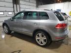 2011 Volkswagen Touareg V6 Tdi продається в Blaine, MN - Rear End