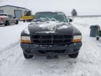 2000 Dodge Dakota  zu verkaufen in Airway Heights, WA - Minor Dent/Scratches