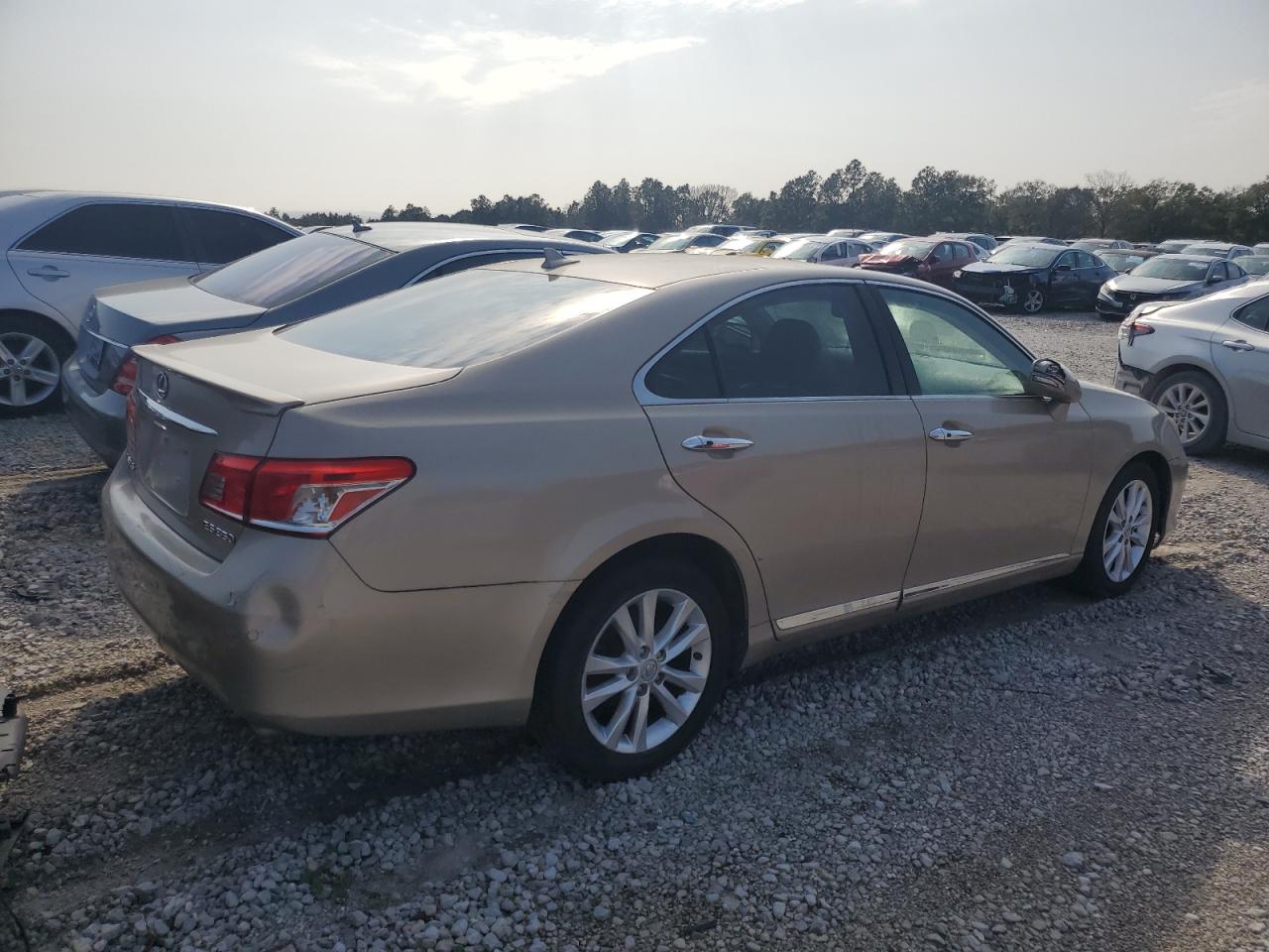 2010 Lexus ES - Image 3