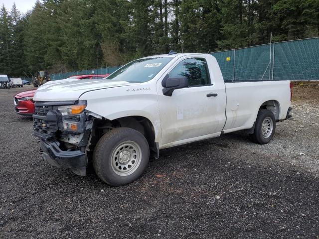 2024 Chevrolet Silverado C1500