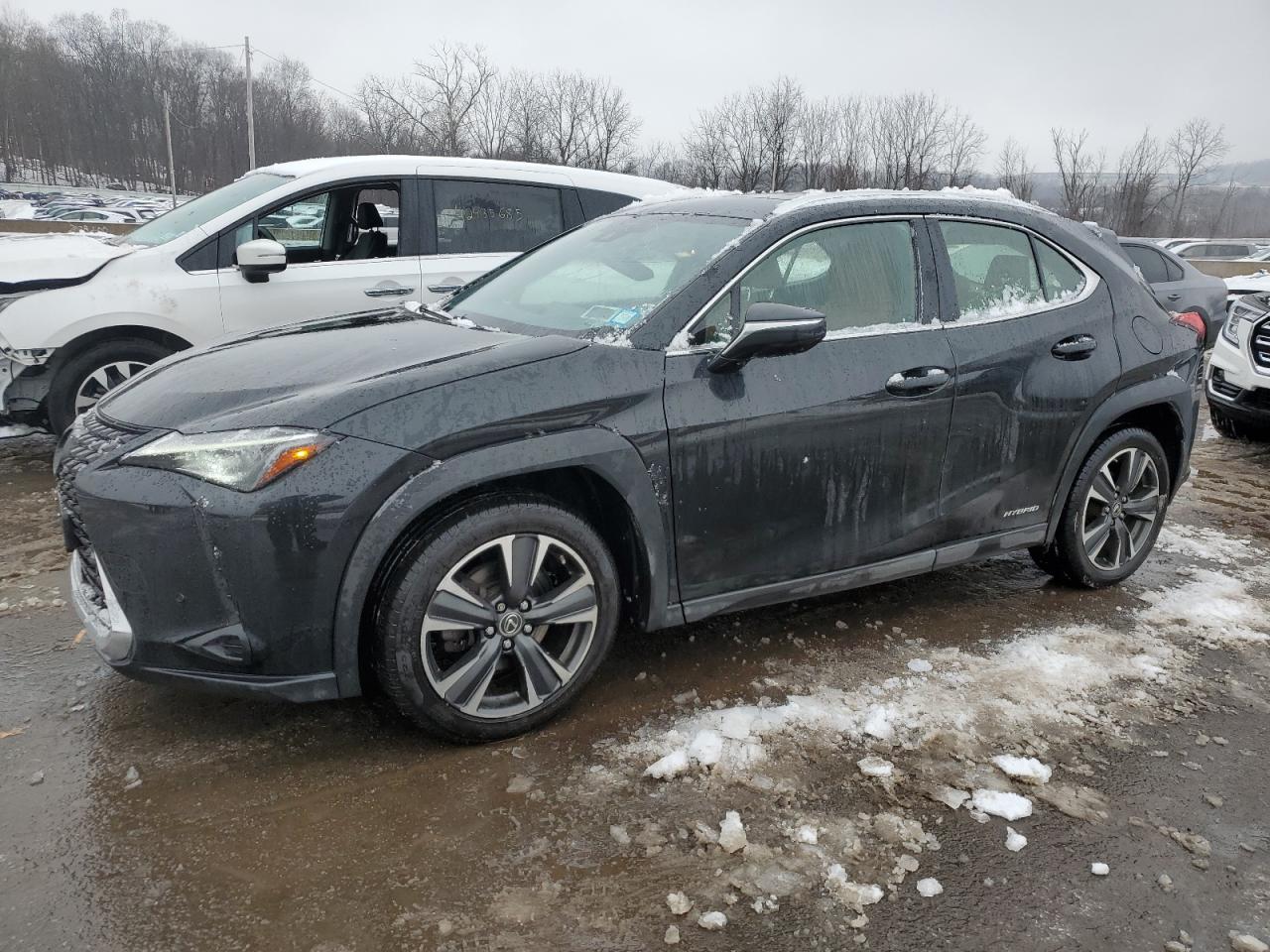 2019 Lexus UX - Image 1