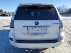 2020 Lexus Gx 460 Premium للبيع في Mendon، MA - Front End