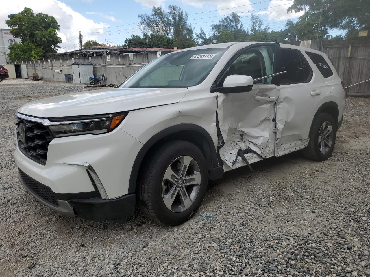 2024 Honda Pilot Exl للبيع في Opa Locka، FL - Side