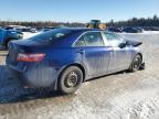 2007 TOYOTA CAMRY LE for sale at Copart NS - HALIFAX