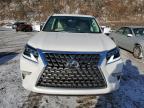 2023 Lexus Gx 460 за продажба в Marlboro, NY - Side