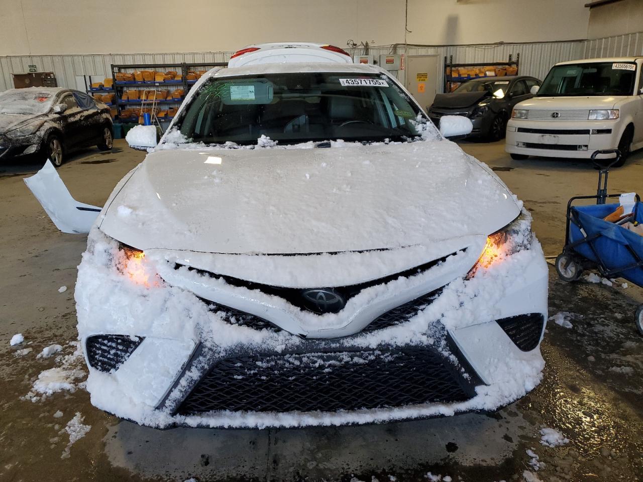 2019 Toyota Camry - Image 5