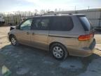 2004 Honda Odyssey Exl იყიდება Walton-ში, KY - Front End