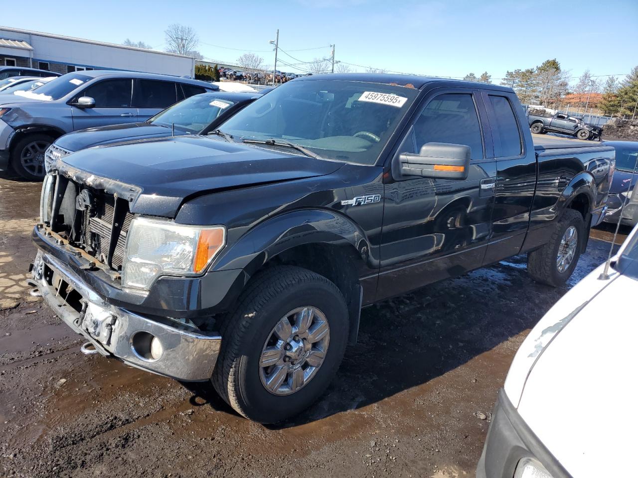 2010 Ford F-150 - Image 1