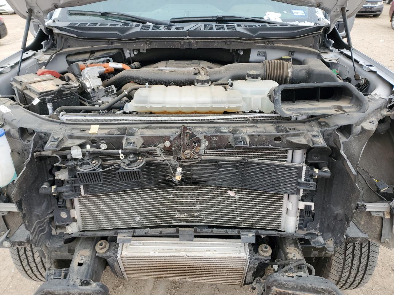 1FTFW1ED3PFB64344 FORD F-150 2023