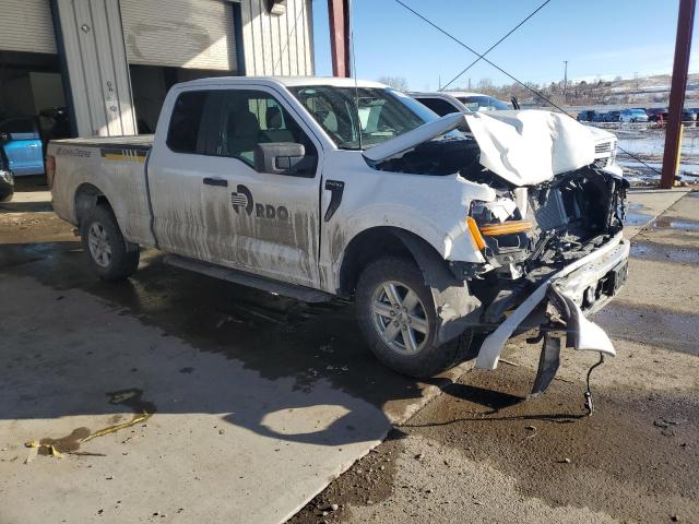  FORD F150 2024 White