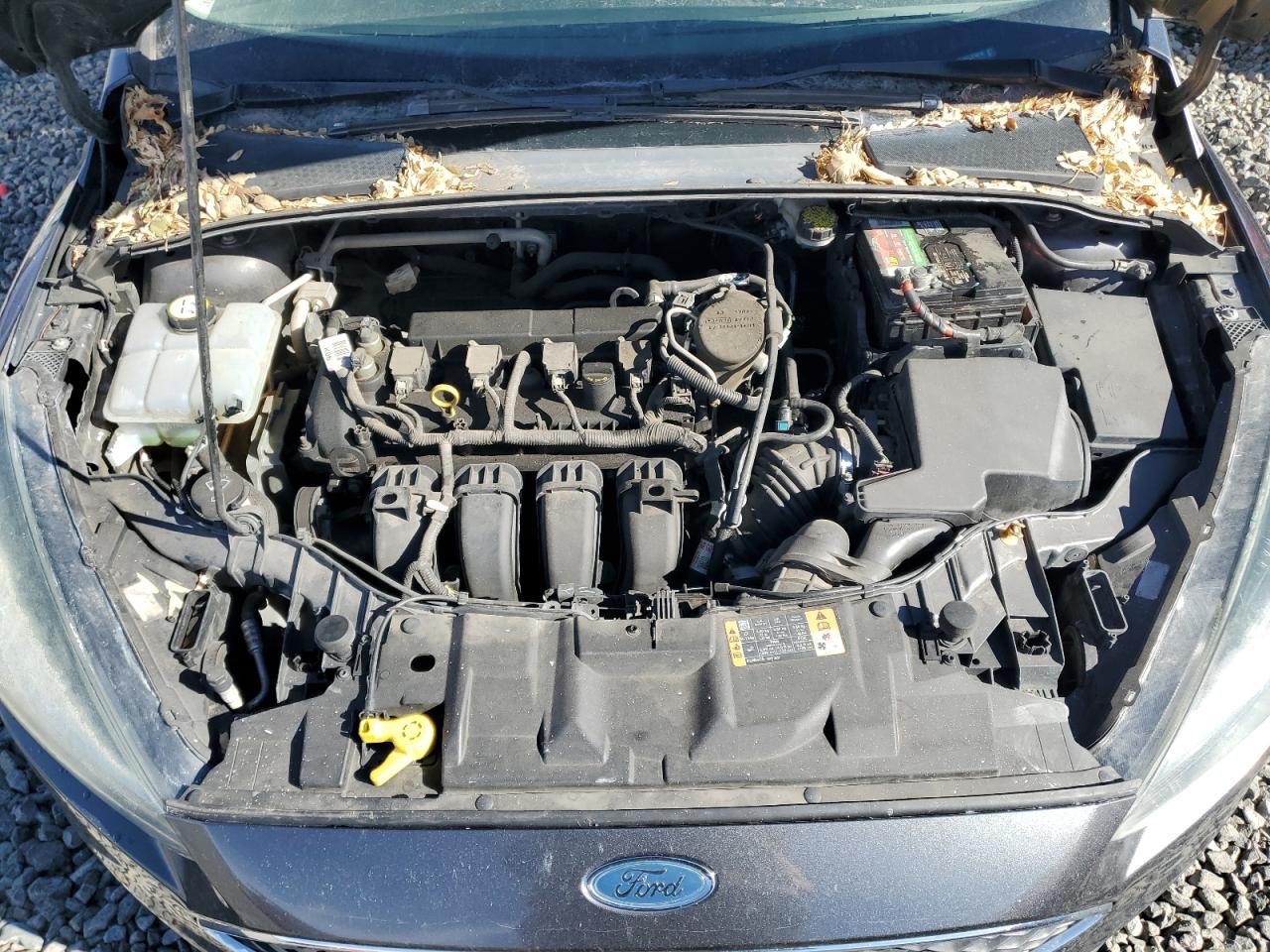 2015 Ford Focus - Image 11