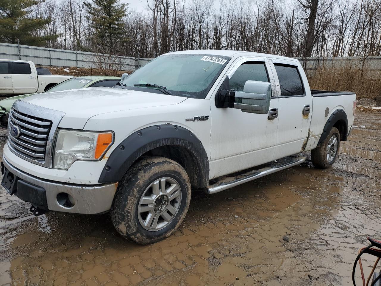 2010 Ford F-150 - Image 1