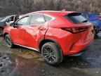 2024 LEXUS NX 350 BASE à vendre chez Copart NY - NEWBURGH