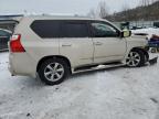 2013 Lexus Gx 460 للبيع في Hurricane، WV - Front End
