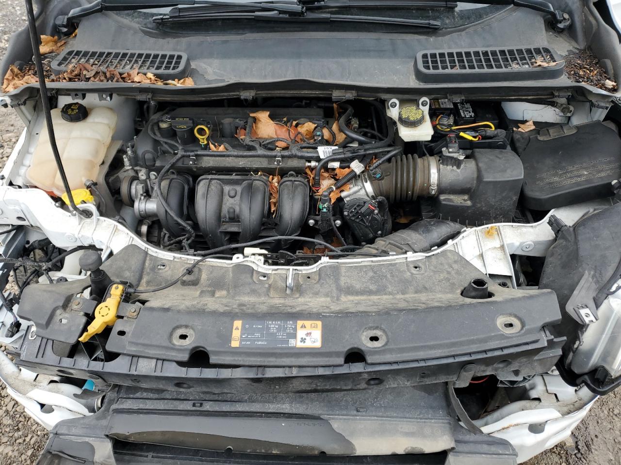 2014 Ford Escape - Image 12