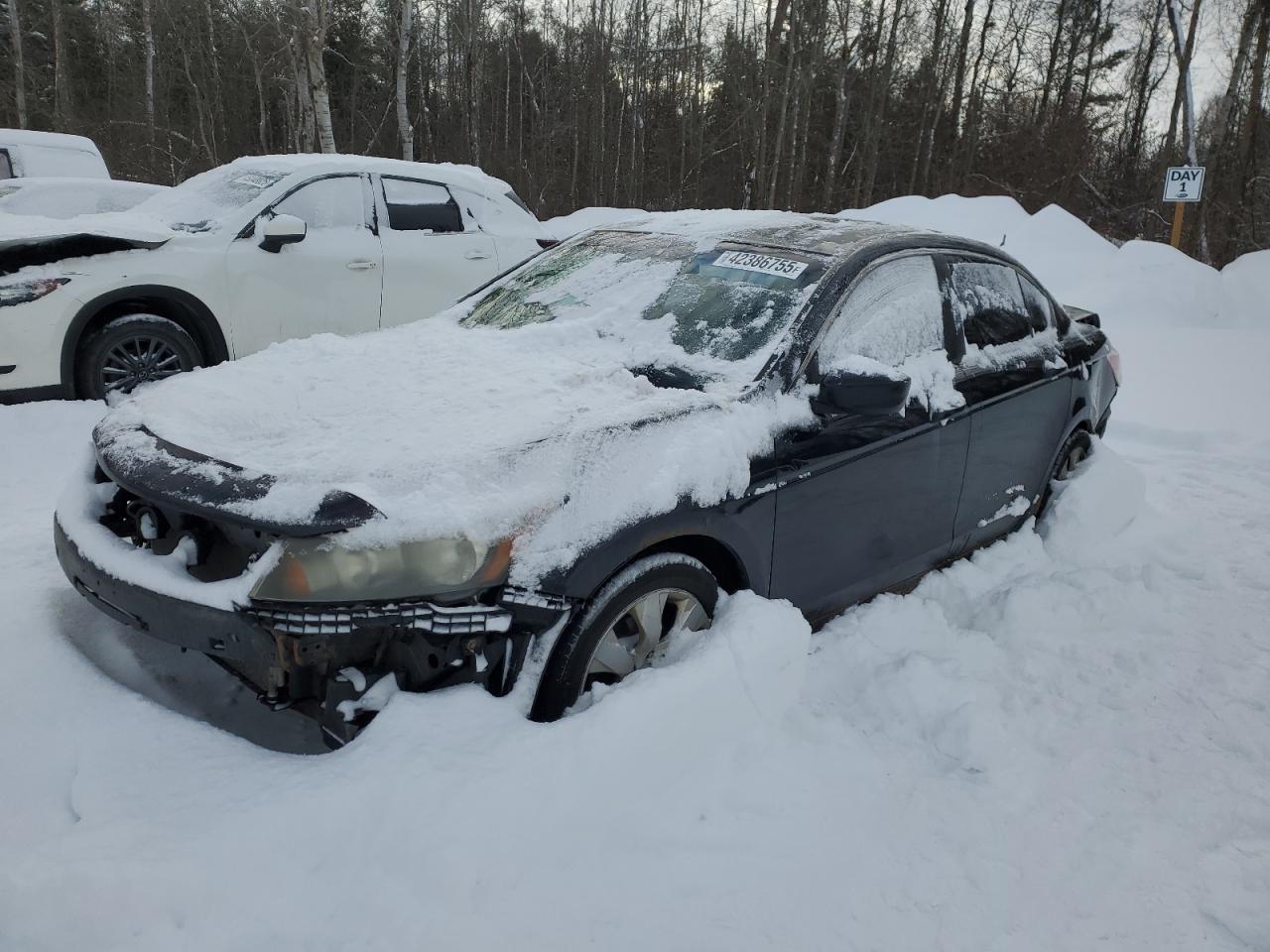 2008 Honda Accord - Image 1