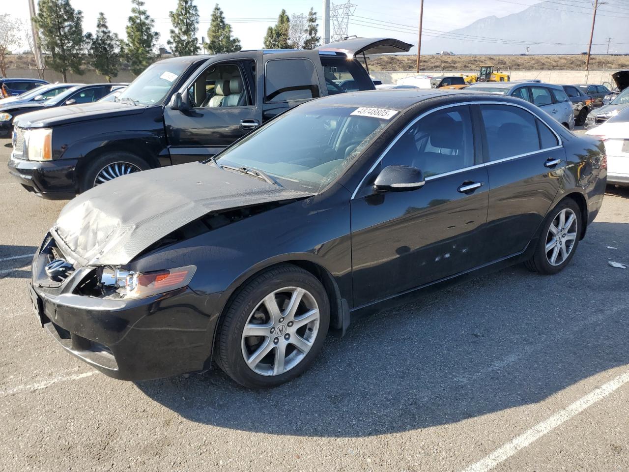 2004 Acura TSX - Image 1