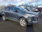 2014 Ford Escape Se for Sale in East Granby, CT - Minor Dent/Scratches