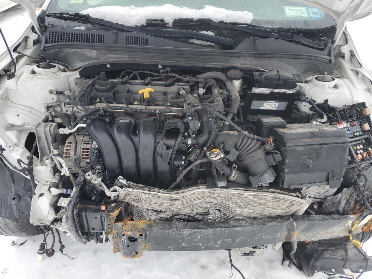 2019 Kia Forte - Image 12