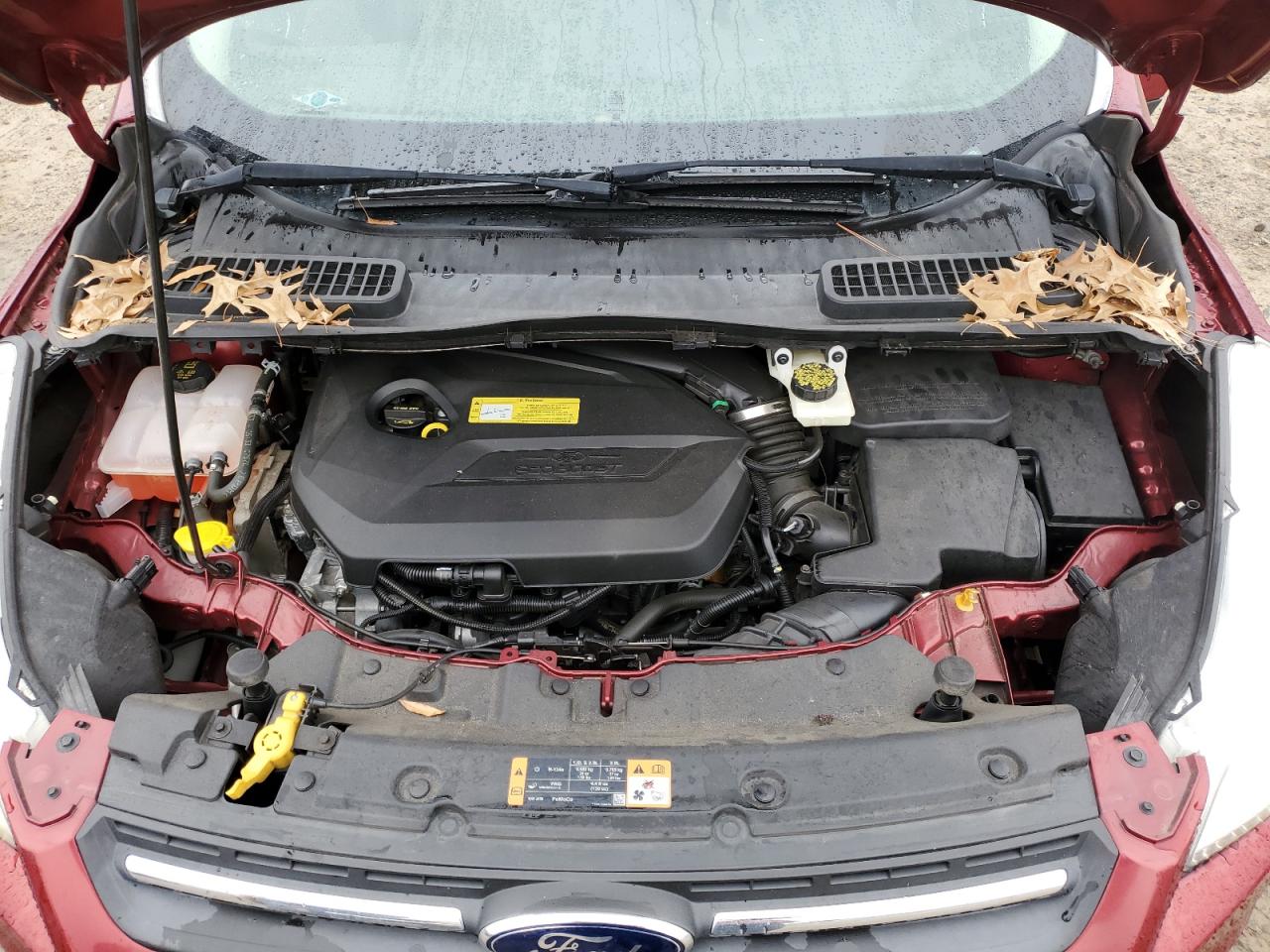 2014 Ford Escape - Image 13