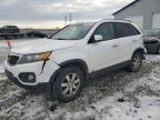 2011 Kia Sorento Base for Sale in Barberton, OH - Rear End