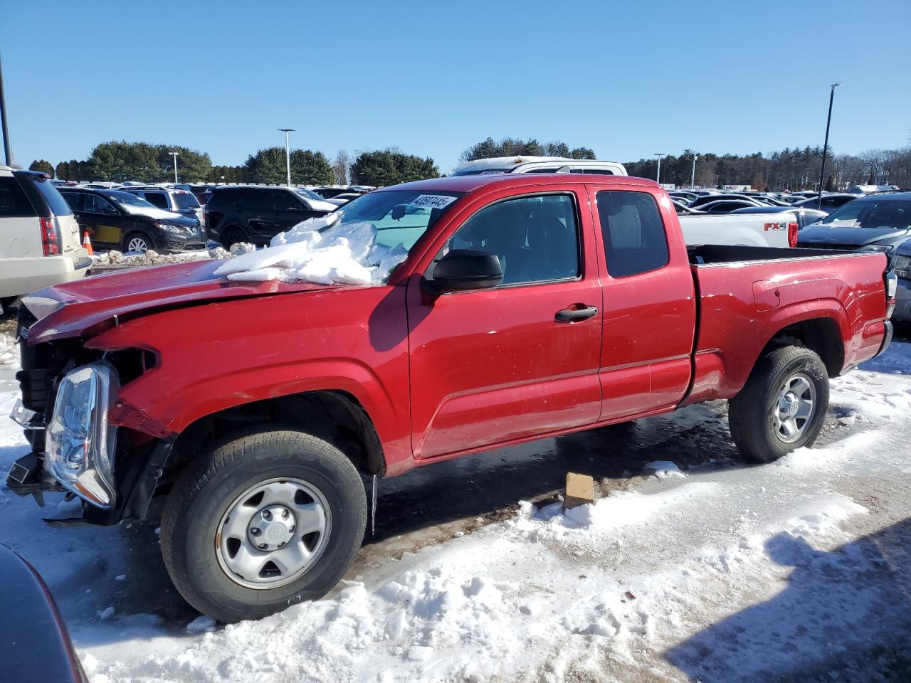 2019 Toyota Tacoma - Image 1