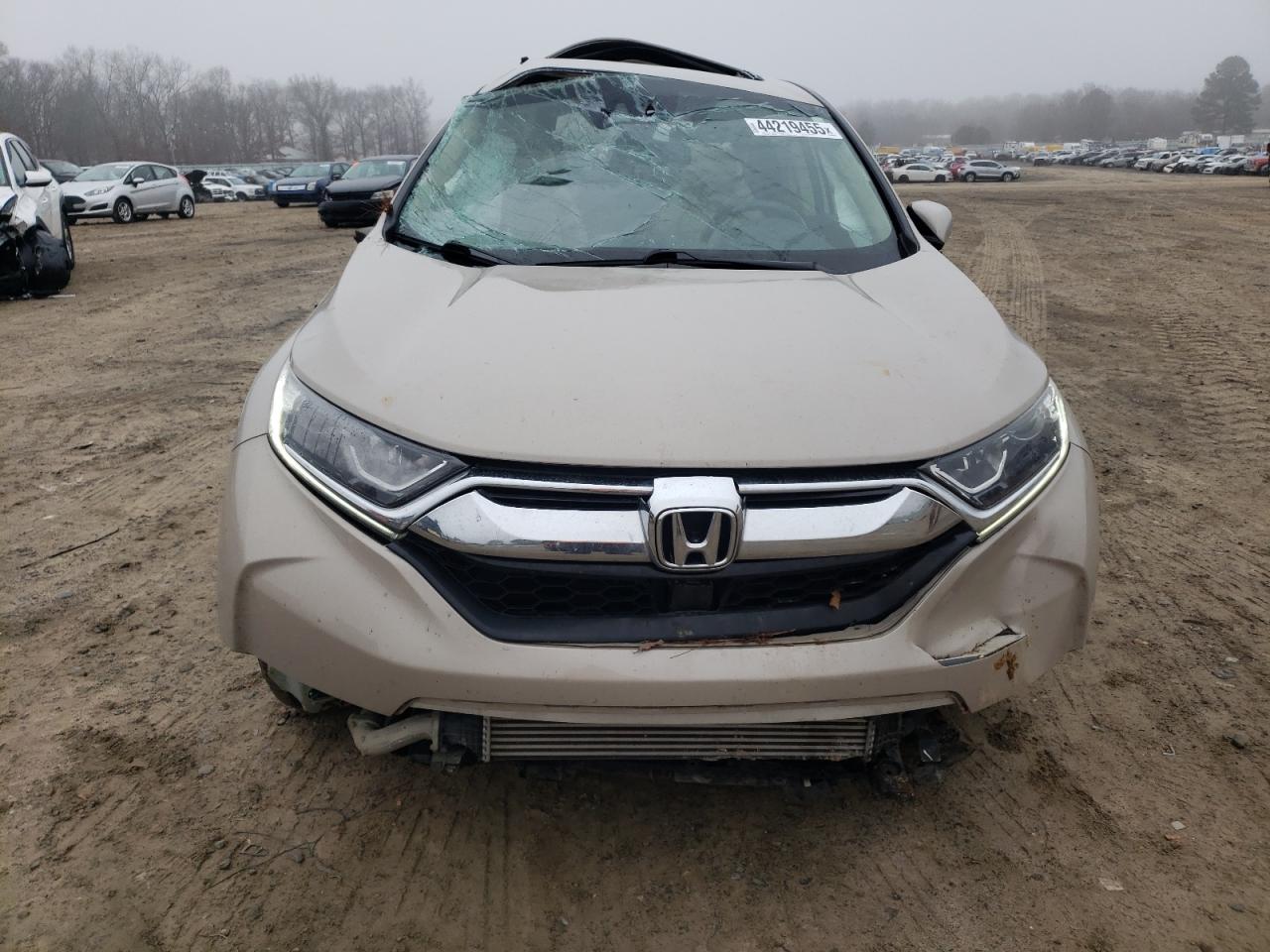 2019 Honda CR-V - Image 5