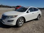2012 Honda Crosstour Exl იყიდება Lumberton-ში, NC - Rear End
