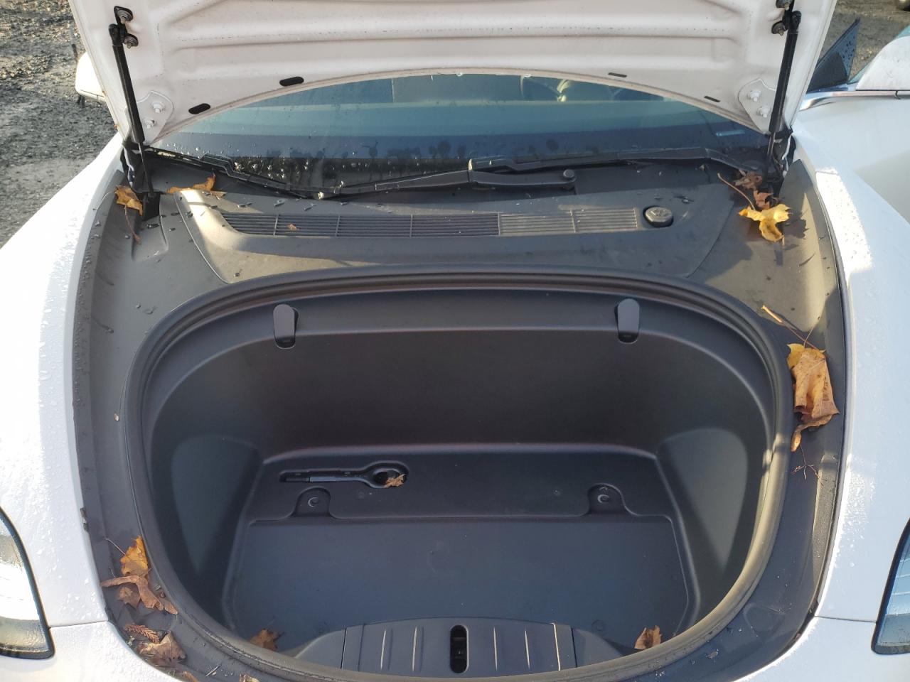 2019 Tesla Model 3 VIN: 5YJ3E1EA8KF484017 Lot: 46549285