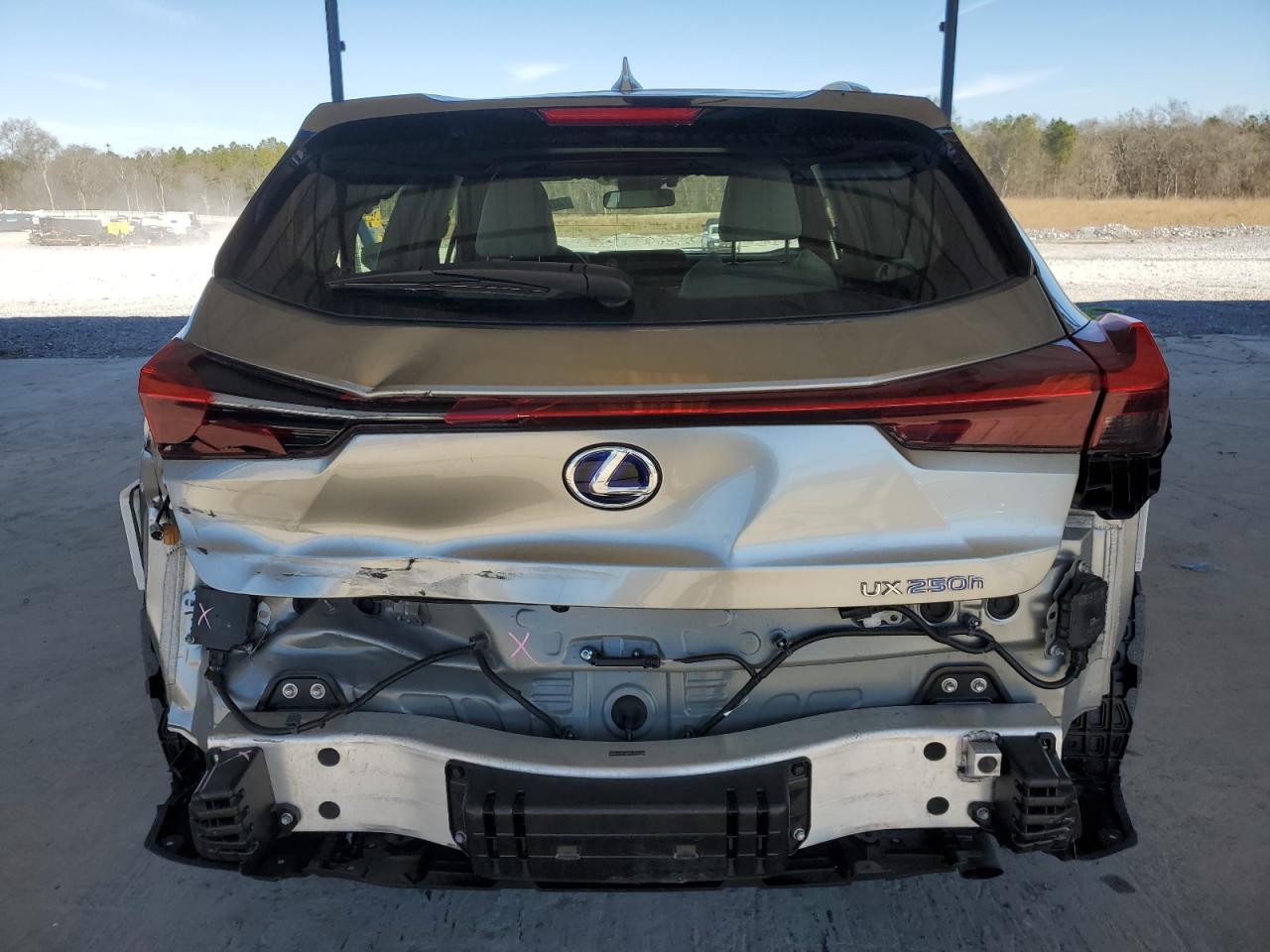 2020 Lexus UX - Image 6