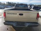 2002 Dodge Dakota Base zu verkaufen in Exeter, RI - Front End