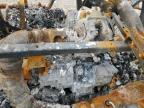 2015 Honda Sxs700 M2 for Sale in Tanner, AL - Burn