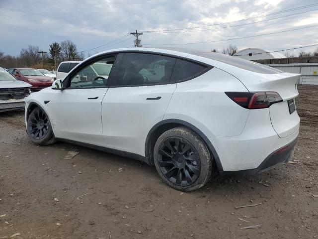  TESLA MODEL Y 2024 Biały