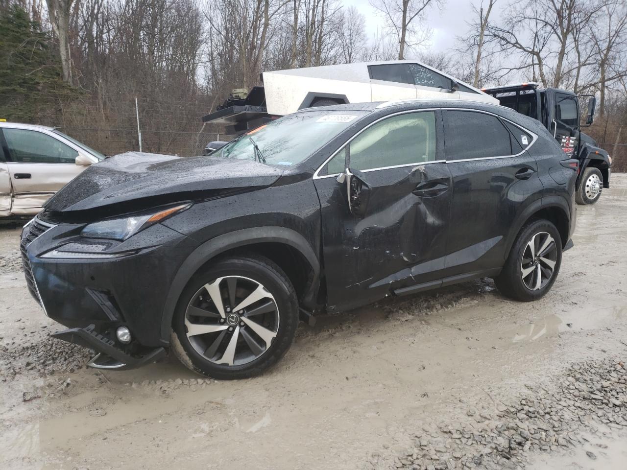 2018 Lexus NX - Image 1