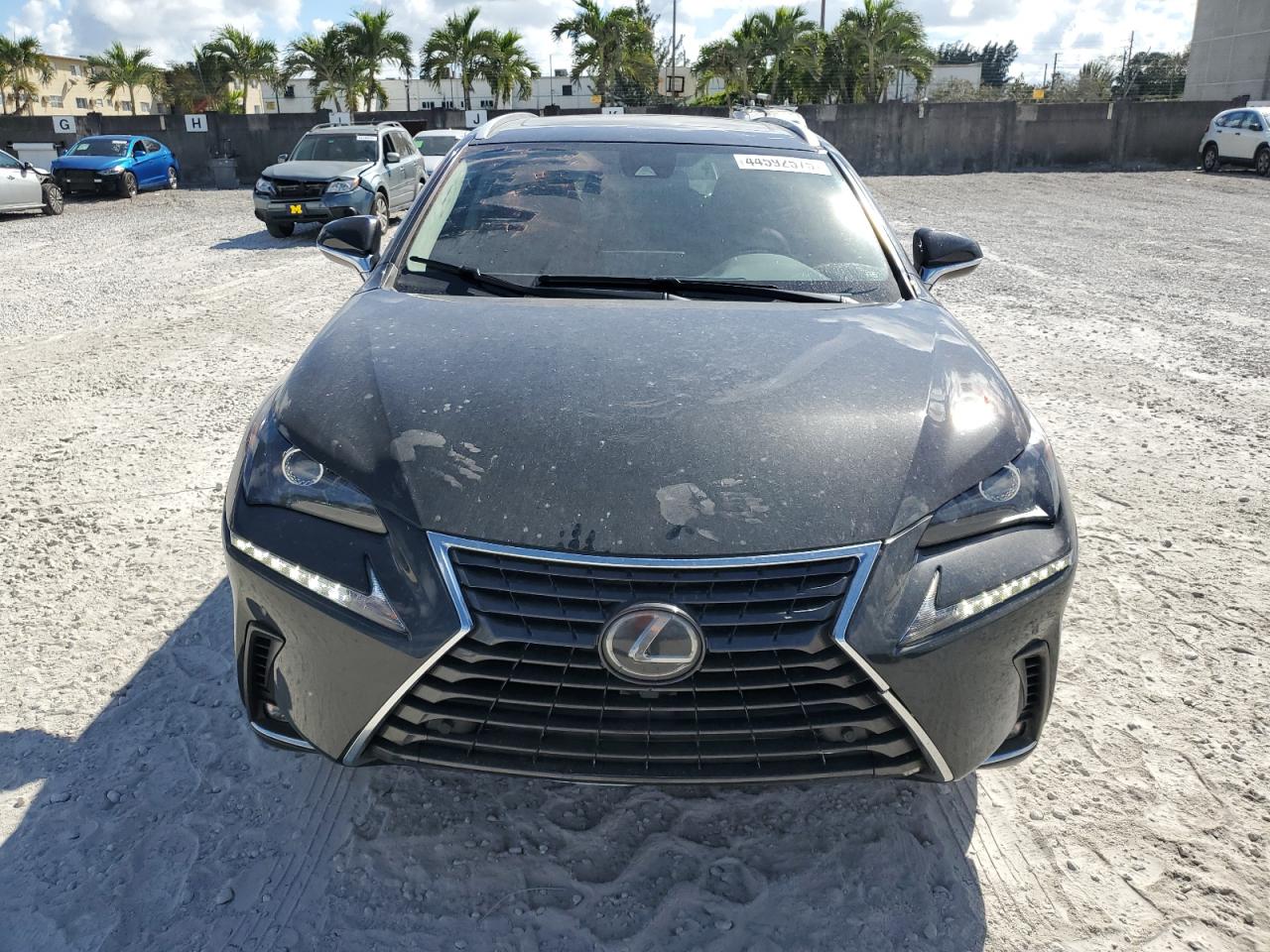 2020 Lexus NX - Image 5