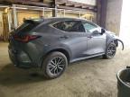 2023 Lexus Nx 350 იყიდება Windsor-ში, NJ - Front End