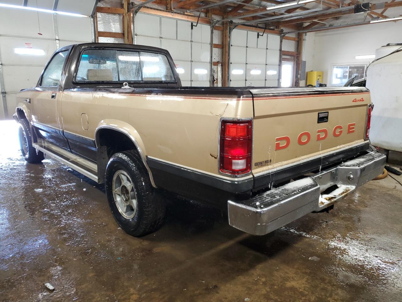 1990 Dodge Dakota - Image 2