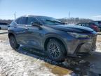 2024 Lexus Nx 350 Premium for Sale in Louisville, KY - Water/Flood