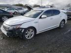 2014 Kia Optima Hybrid for Sale in Sacramento, CA - All Over