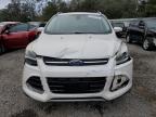 Riverview, FL에서 판매 중인 2013 Ford Escape Titanium - Front End