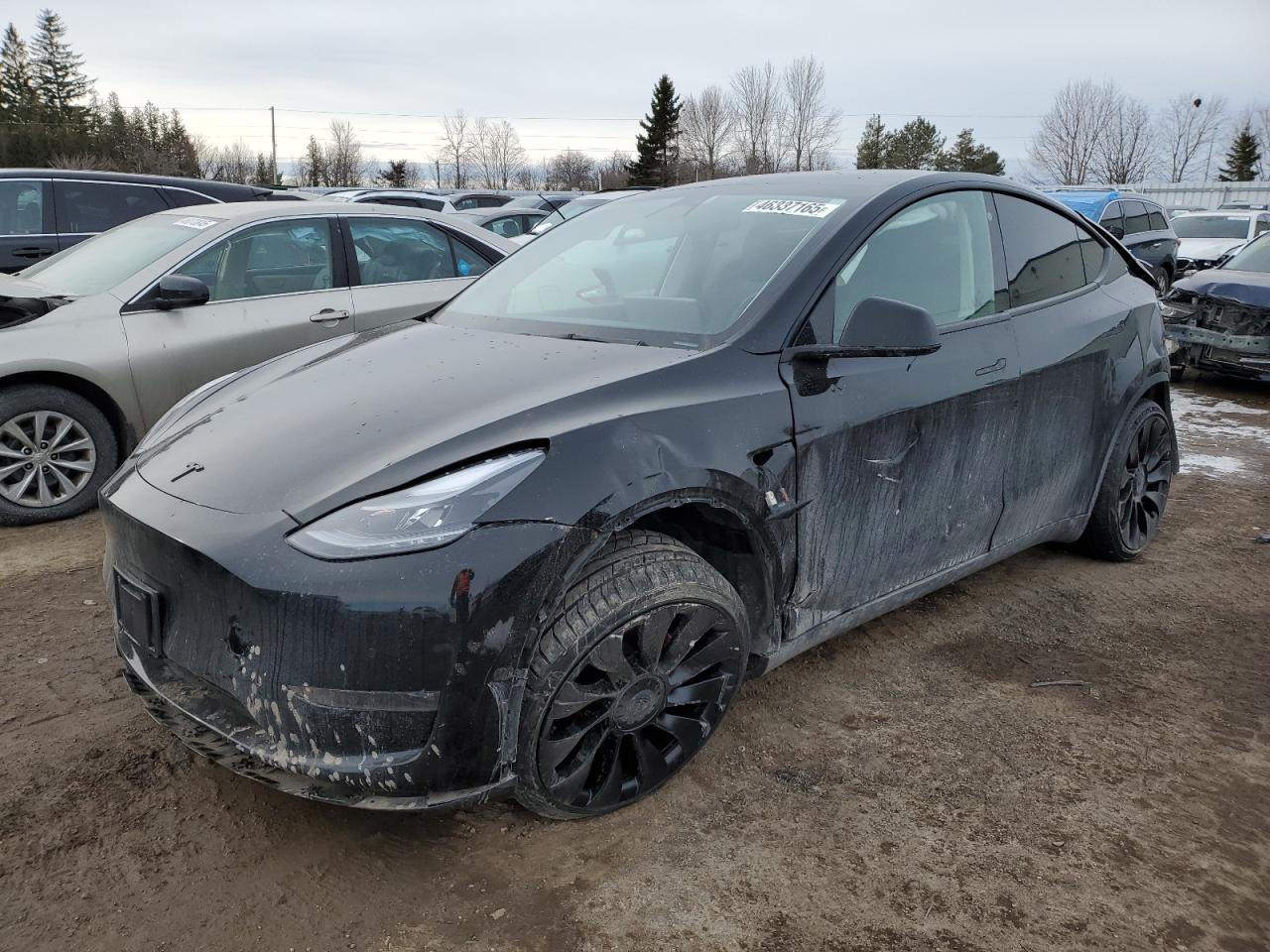2022 Tesla Model Y للبيع في Bowmanville، ON - All Over