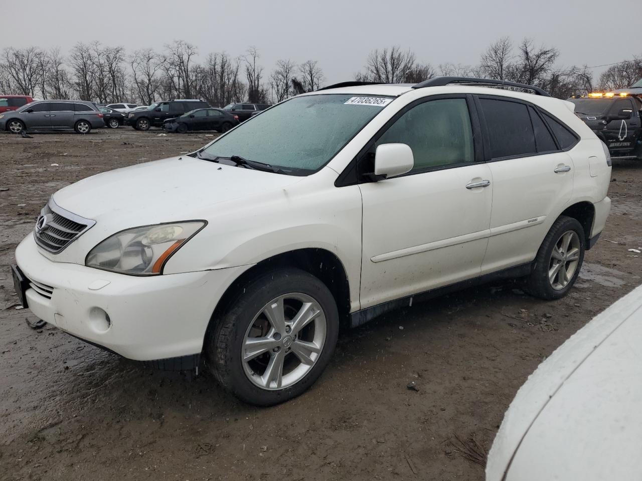 2008 Lexus RX - Image 1