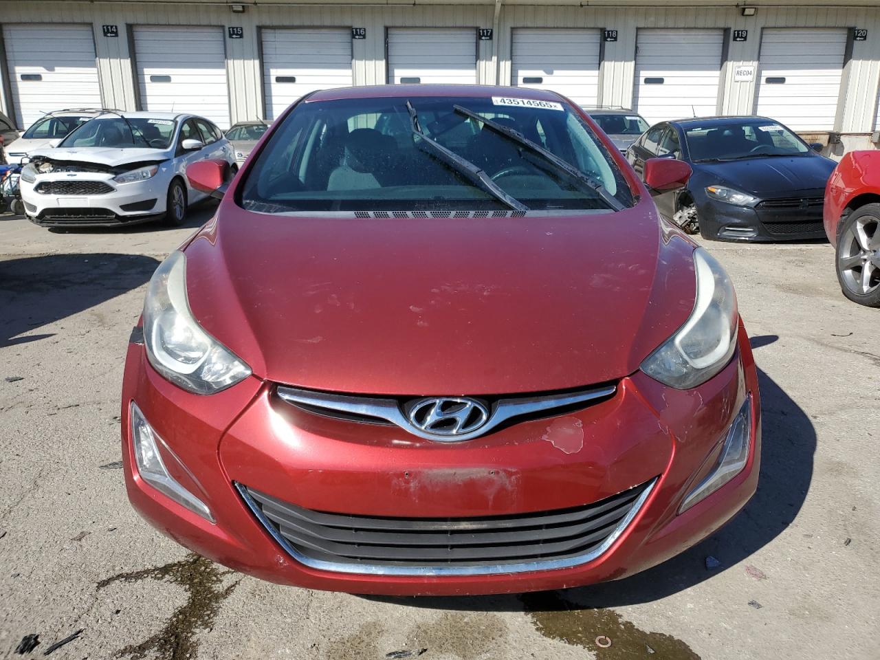 2016 Hyundai Elantra - Image 5