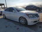 2011 Hyundai Equus Signature na sprzedaż w West Palm Beach, FL - Front End