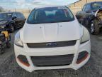 2016 Ford Escape S for Sale in Spartanburg, SC - Rear End